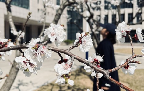 春暖花開，不負陽光