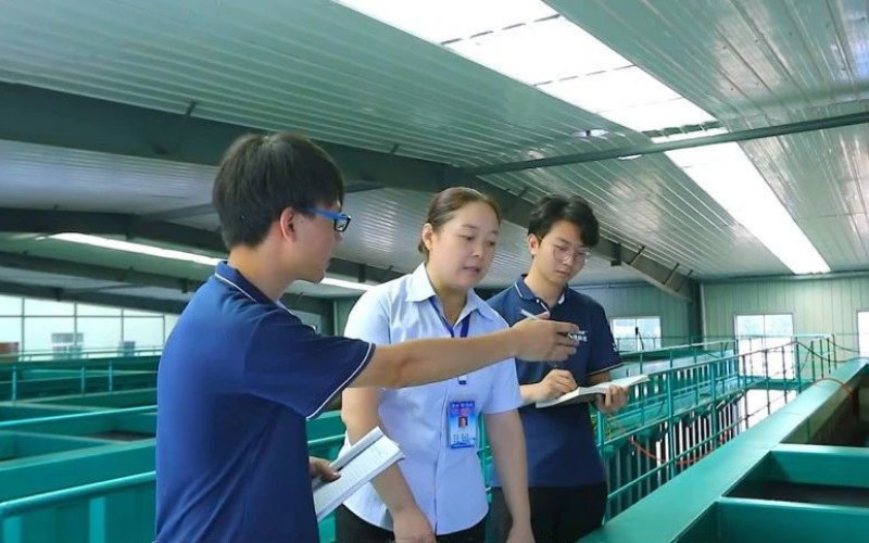 環(huán)境、給排水設(shè)計工程師